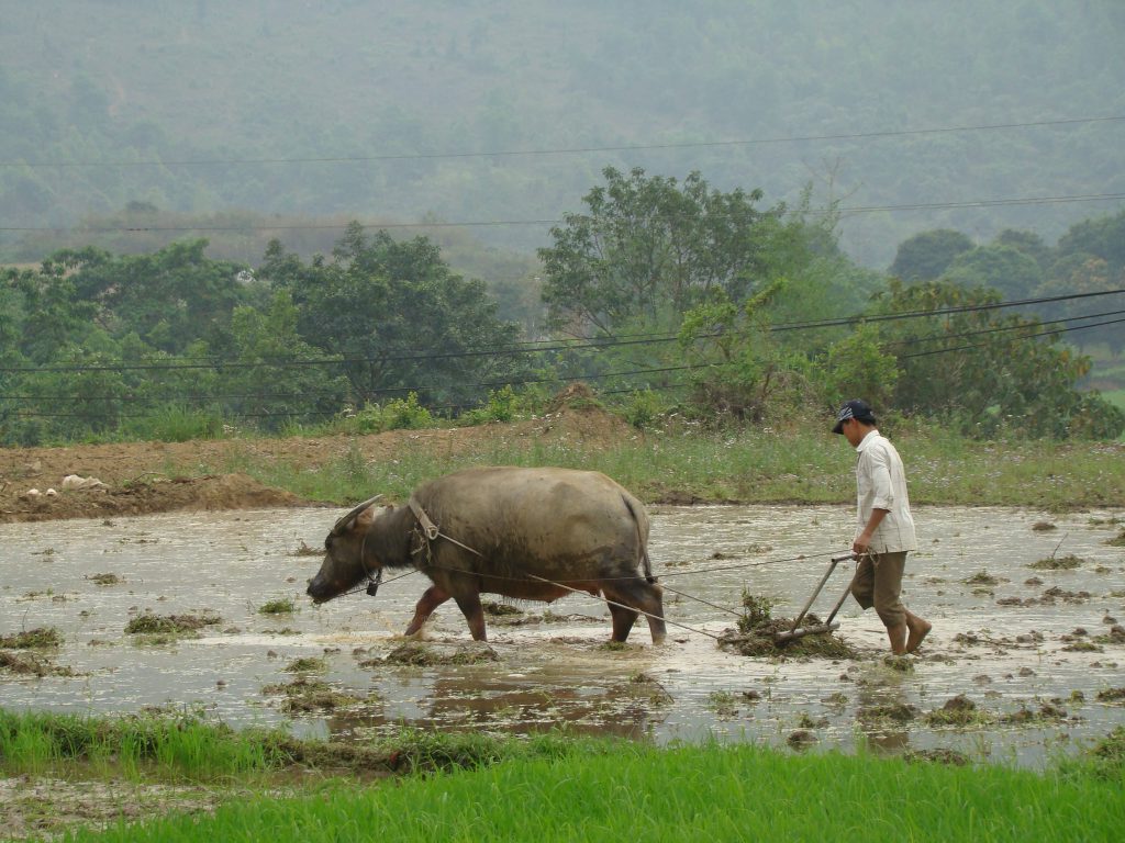 Mai chau tour